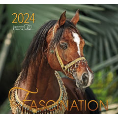 Fascination Kalender 2024